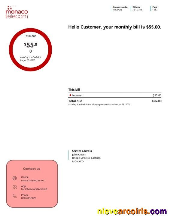 Monaco telecom internet utility bill, 3 pages